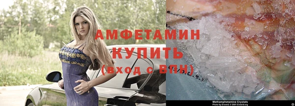 прущая мука Вяземский