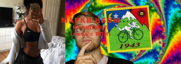 прущая мука Вяземский