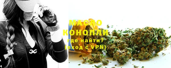 прущая мука Вяземский